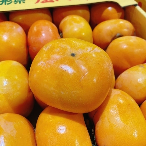 「今年も「庄内柿」の季節がキタよー！！ 山形県産　庄内柿(たねなし柿)」