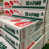 「いろんな柿が入荷してます！！」