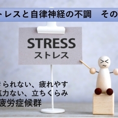 ストレスと自律神経の不調　その4　朝起きられない、疲れやすい、気力ない、立ちくらみ 　副腎疲労症候群【船橋市の鍼灸整体治療院　めまい、頭痛、自律神経のお悩み、長年の身体の不調に悩まされている方に】