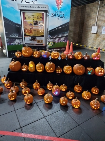 かぼちゃたち。「京都駅前で」