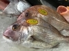 「魚魚市場鮮魚コーナーおすすめは「鯛」です♪」