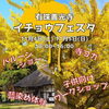 「【有珠善光寺イチョウフェスタ】でワークショップカー出店します☆」