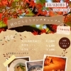 11月ランチビュッフェ!!