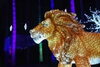 「「とべZOOイルミネーション2023　星と花の回廊」 愛媛県立とべ動物園」