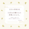 「【お知らせ】11月の営業予定【千歳市雑貨屋】」
