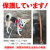 「迷い犬を保護しています【新居浜市萩生治良丸の側道】」