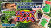 「【家庭菜園にお勧め!】スナップ・エンドウに期待のニューフェイスが登場しました。　たねのハシモトミヤ」