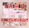 「毎月1〜5日は税込み3300円以上ご購入のお客様に花1輪プレゼント【越前市/花屋/生花/プレゼント/ふるーれ・T】」