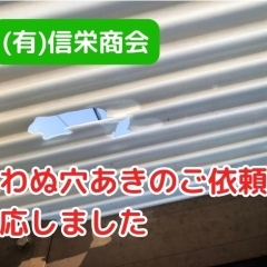 「ひょう」で穴が開いた波板を交換