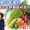 【農産物直売所直送】旬のおいしいお野菜をセットで約15種類お届けします【鳥取県日吉津村ふるさと納税】