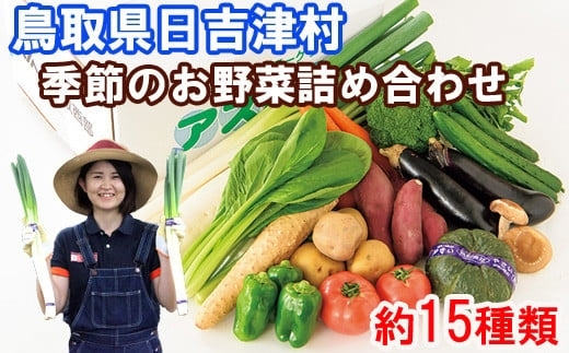 「【農産物直売所直送】旬のおいしいお野菜をセットで約15種類お届けします【鳥取県日吉津村ふるさと納税】」