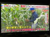 先週、髪の毛切っておいて良かった！「☆１１月１日、フジテレビ系列『めざまし８』無事にオンエア☆」