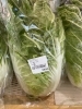 地元産の白菜です。1個200円からあります。「11月4日感謝セールを開催致します!全品1割引きです。更に、テッシュボックスをプレゼントします。」