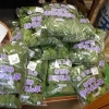 お野菜入荷してます