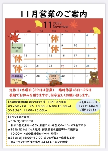 営業カレンダー「11月営業のご案内【北広島カフェ】【愛犬同伴OK】」