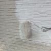 作新建装　今週の施工