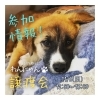 「✿11/5 譲渡会(所沢市)参加保護犬情報！⑲✿ 雑種犬/元野犬ちゃんたち/狭山湖動物霊園」