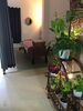 気のパワーでいきいき元気な植物たち♫🪴「店内のご案内♫」
