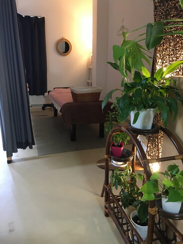 気のパワーでいきいき元気な植物たち♫🪴「店内のご案内♫」