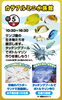 カラフルミニ水族館「11月度キャンペーン！」
