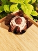 「ひだまり小町とこしろのもりで味わう、モンブランの特別な二日間」