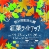紅葉ライトアップ【2023】