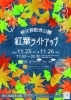 2023　秋のMIYAtei FEStival「紅葉ライトアップ【2023】」