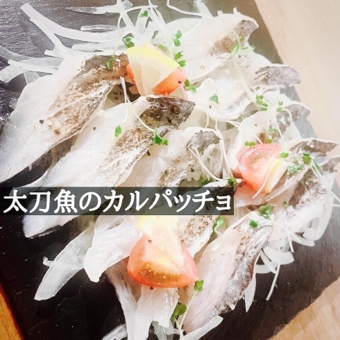 旬の鮮魚をご用意します。「飲み放題付き4000円コース大好評です✨」