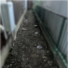 お庭のお片付け、草むしりなら丸商へ！！横浜市　磯子区　南区　金沢区　中区　戸塚区　不用品　生前整理　遺品整理　ゴミ屋敷　店舗ゴミ　断捨離　