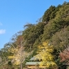 11月25日・12月2日限定！秋の味覚満載宿泊プラン(^o^)