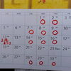11月の予定