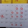 11月の予定