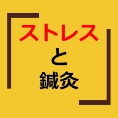 鍼灸だより13 ストレスと鍼灸について