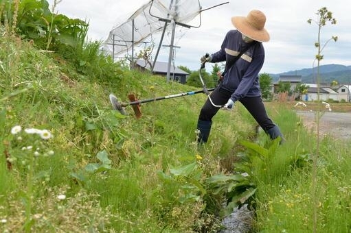 除草、伐採剪定のサービスが好評です。自宅の庭や空き家、空き地の草刈りでお困りではありませんか？ 草刈り・伐採・草むしり・防草など対応可能！ | 激安 草刈り伐採剪定キレイ新居浜店のニュース | まいぷれ[新居浜市]