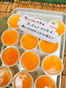 「【特製ババロア】販売中！」