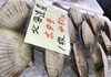 「魚魚市場鮮魚コーナーおすすめは「北海道産ホタテ」です♪」