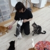 「いるまeスマイルチケット」加盟店になりました。【入間市・猫カフェ・いるまeスマイルチケット・おむすび通貨・ポイントカード・おやつタイム・保護仔猫・譲渡・猫・ラグドール・ノルウェージャン・マンチカン・アメショー・スコティッシュ・三毛猫]