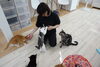 フレンドリーな猫ら①「「いるまeスマイルチケット」加盟店になりました。【入間市・猫カフェ・いるまeスマイルチケット・おむすび通貨・ポイントカード・おやつタイム・保護仔猫・譲渡・猫・ラグドール・ノルウェージャン・マンチカン・アメショー・スコティッシュ・三毛猫]」