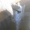 急に寒くなりましたね