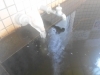 「急に寒くなりましたね」