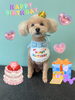 「お友達♡ Dog salon mofu mofu 余市町」