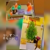かわいいツリー🎄モンチッチが嬉しい♪笑「寒くなりました…店内も少しずつ冬モード⛄に☺」