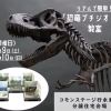 恐竜プチジオラマ作成教室【コモンステージ行永東町　分譲住宅会場】