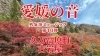 「サウナ外気浴ミュージック「愛媛の音」シリーズ第10弾、久万高原町「古岩屋」」