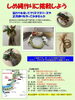 「事前予約制「しめ縄作り」［2023年12月10日(日)13時30分～15時30分・水元公園「水辺の生きもの館」］水辺のさと内の田んぼで刈り取った稲わらを利用し、クリスマスリース🎄や正月飾り🎍を作ってみませんか？」