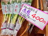 「今が旬！平田の名産「赤葱」販売中！」