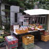 「本日11月15日（水）お寺の外で千葉県産野菜販売してます！日蓮宗妙栄院［地域の皆さんに新鮮でお安い野菜提供☆京成高砂駅より徒歩5分・無人野菜販売所・鬼子母神・日蓮宗祈祷］」