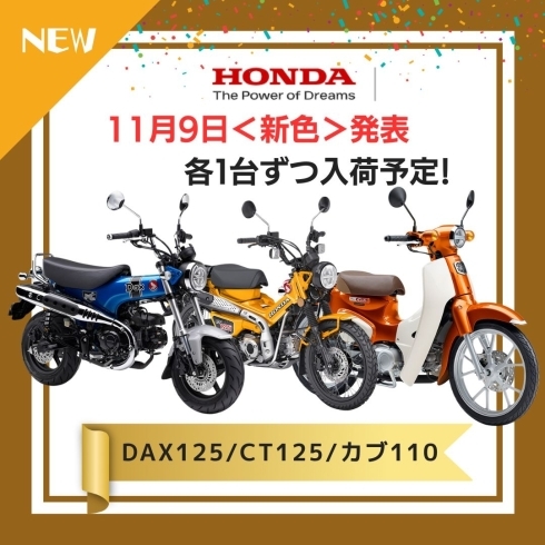 各種バイク　新色発表！「HONDA 新色発表！ DAX125/CT125/カブ110 入荷予定のご案内」