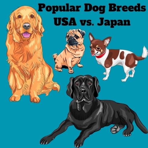 Dog Breed Ranking「Teacher'sコーナー169号 USA vs Japan: Popular Dog Breed Ranking【千葉のならいごと　英会話スクール】」