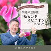 「【セカンドオピニオン】について」